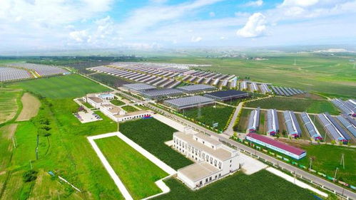 鄉村振興看長春 走在農業科技創新的路上,她斗志昂揚