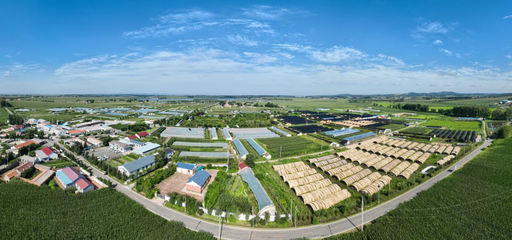 長春市現代菌物產業科技成果轉化示范基地揭牌，首屆中國（長春）靈芝孢子粉采收節盛大啟幕